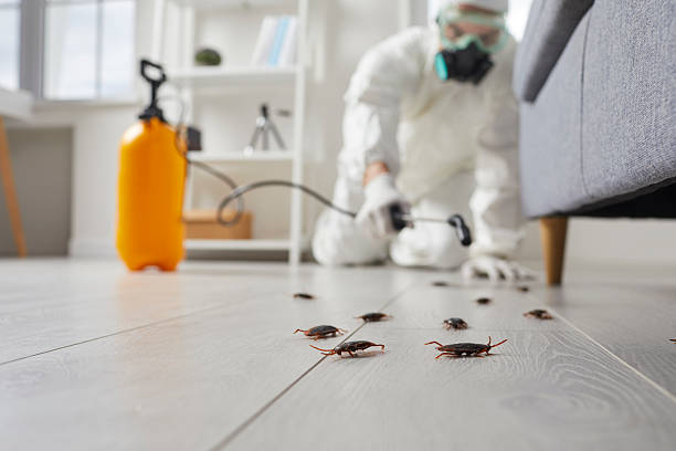 Trusted Cockroach Control service in Yeagertown, PA - Nex Pest Control